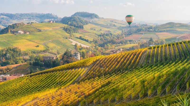 Langhe: un viaggio tra vini pregiati, paesaggi mozzafiato e storia culturale.